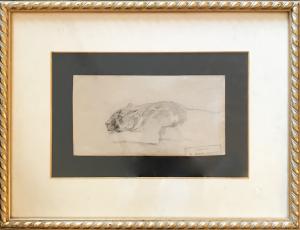 Leonessa - Disegno Atelier de Brunet-Houard (1827-1922)